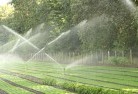 Mcmahons Pointlandscaping-water-management-and-drainage-17.jpg; ?>
